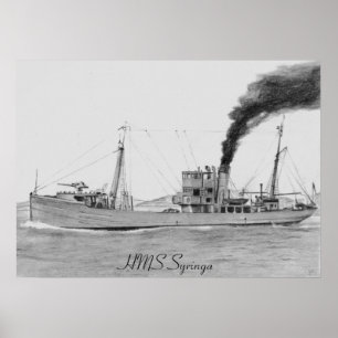 Póster HMS Syringa poster