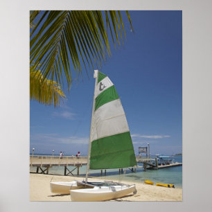 Póster Hobie Cat, Plantation Island Resort