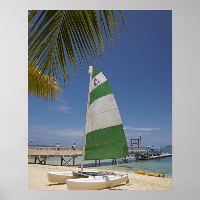 Póster Hobie Cat, Plantation Island Resort (Frente)