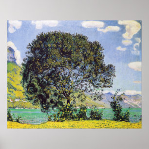 Póster Hodler - Árbol En Brienzersee 1906