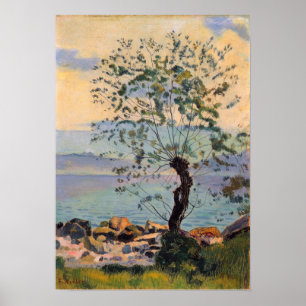 Póster Hodler - Pradera 1890