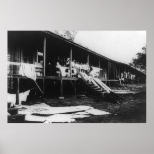 Póster Hogares japoneses en la fotografía de Hawaii