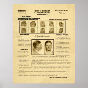 PÓSTER HOJA 1933 DE LA APLICACIÓN DE LEY DE LA CARRETILLA