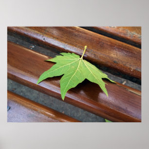 Póster hoja caída