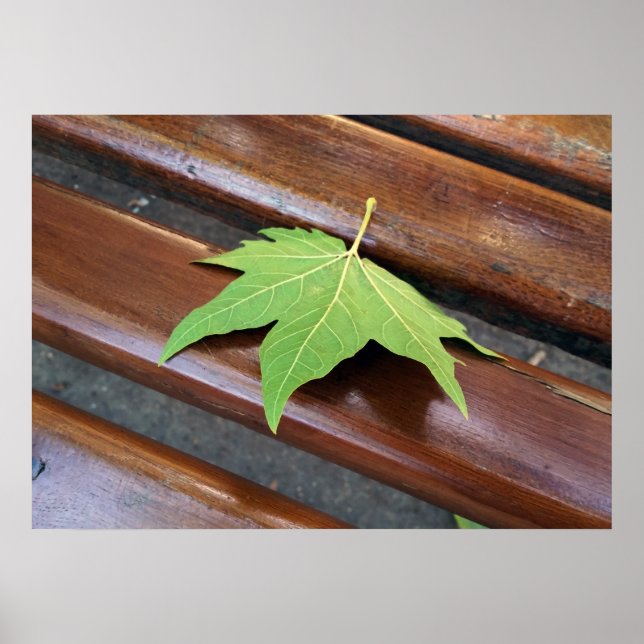 Póster hoja caída (Frente)