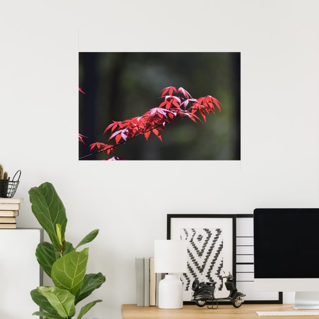 Póster Hoja de arce, (Oficina en casa)