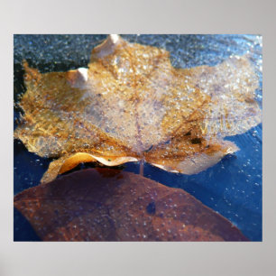 Póster Hoja de Arce Amarillo Congelada Otoño Naturaleza