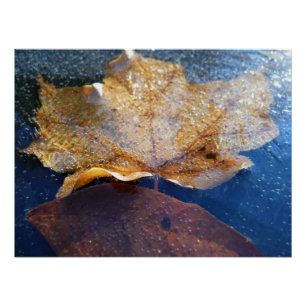 Póster Hoja de Arce Amarillo Congelada Otoño Naturaleza
