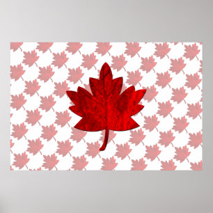 Póster Hoja de arce de Canadá por Shirley Taylor