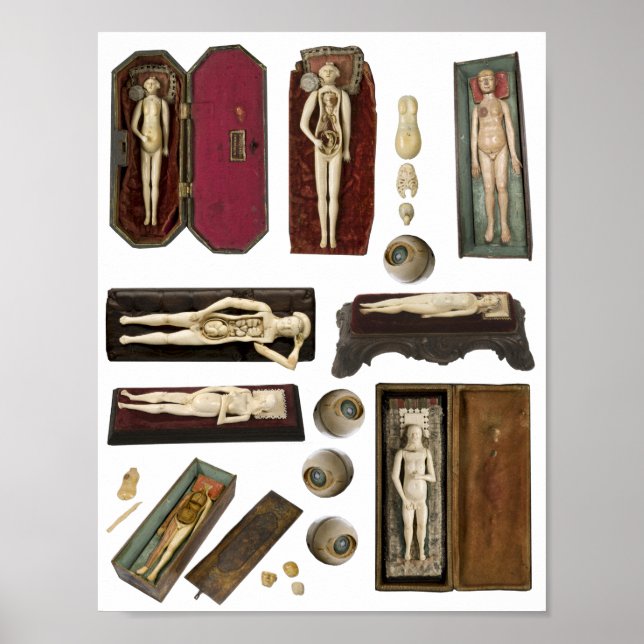 Póster hoja de collage de partes del cuerpo de muñecas de (Frente)