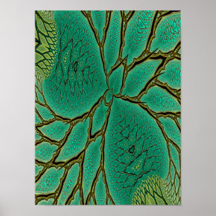 Póster Hoja de Dragón Teal Fractal Abstracto con Enredade