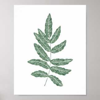 Póster Hoja de Fern Botánica de Color de Agua Verde