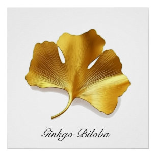 Póster Hoja de Ginkgo Dorada - Símbolo de Longevidad y Sa