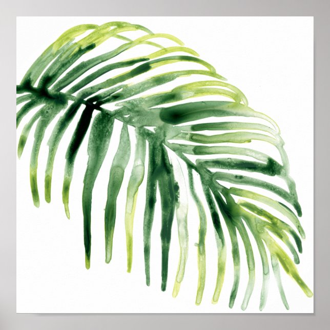 Póster Hoja de manteca tropical (Frente)