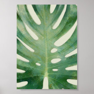 Póster Hoja de Monstera