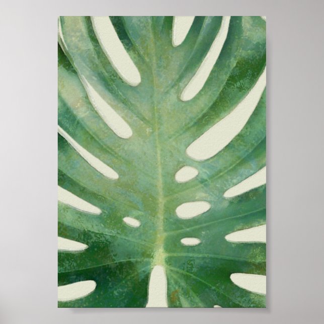 Póster Hoja de Monstera (Frente)