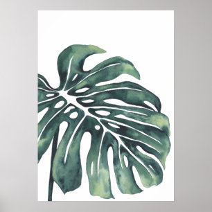 Póster Hoja de Monstera 4