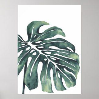 Póster Hoja de Monstera 4