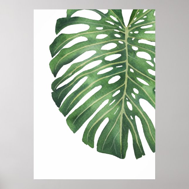 Póster Hoja de Monstera 6 (Frente)