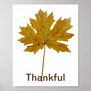 Póster Hoja de otoño acuarela agradecida