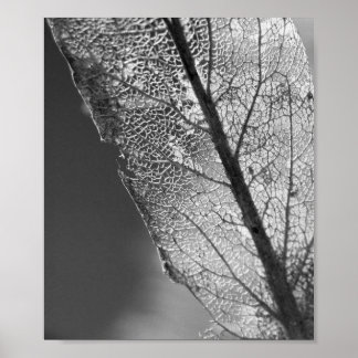 Póster Hoja de otoño - B&W