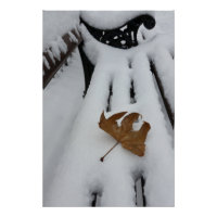 hoja de roble en nueva nieve