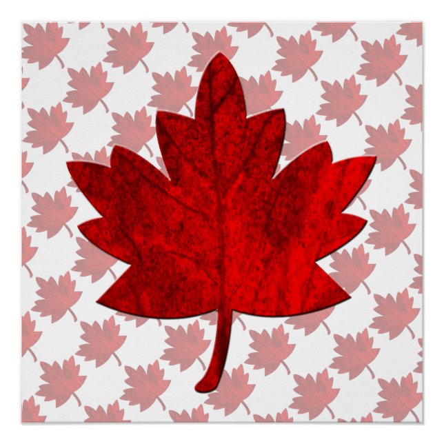 Póster Hoja del Canadá-Arce (Anverso)