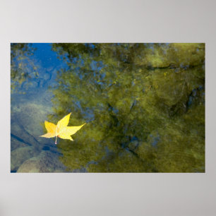 Póster Hoja flotante