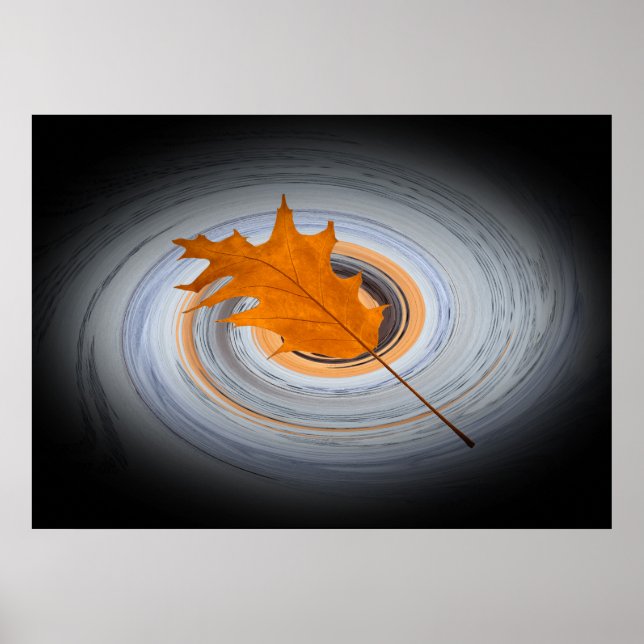 Póster Hoja flotante (Frente)