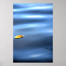 Hoja Flotante En El Agua # 111