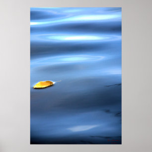 Póster Hoja Flotante En El Agua # 111