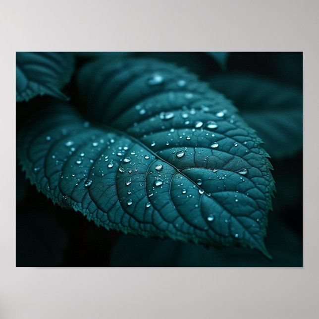 Póster Hoja Macro de Teal Oscuro con Gotitas de Agua de L (Frente)
