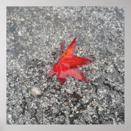 Póster Hoja roja de otoño en lluvia en camino gris textur