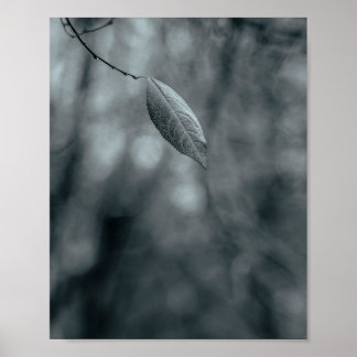 Póster Hoja única en una rama delgada en monocromo fresco