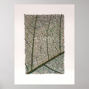 Póster Hoja verde