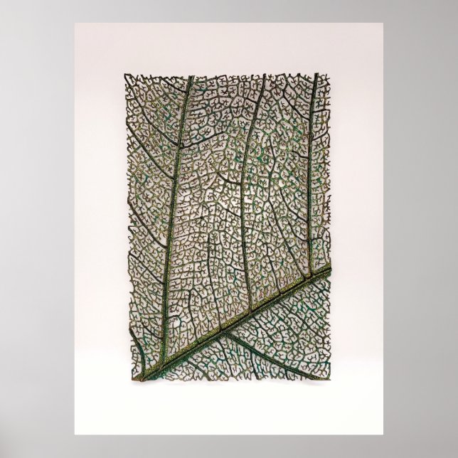 Póster Hoja verde (Frente)