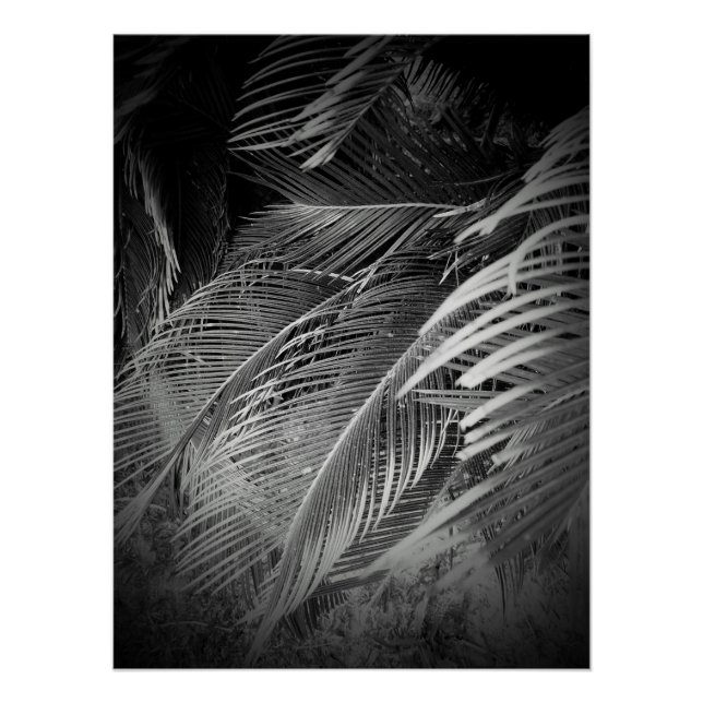 Póster Hojas (Anverso)