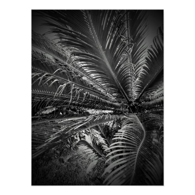 Póster Hojas (Anverso)