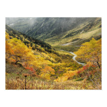 Hojas amarillas otoñales naturales