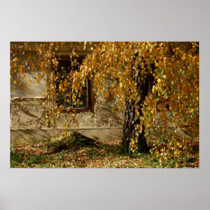 Póster hojas amarillentas