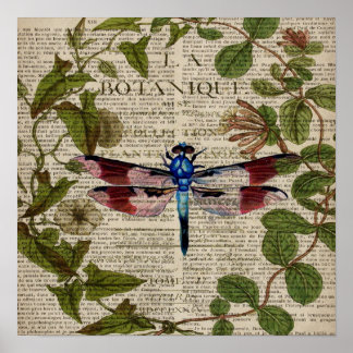 Póster hojas botánicas francesas libélula vintage moderna