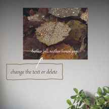 Hojas caídas marrones después de la lluvia