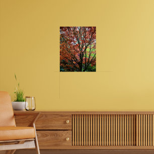 Póster Hojas Coloridas de Arce de Otoño