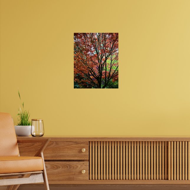 Póster Hojas Coloridas de Arce de Otoño (Salón 2)