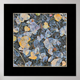 Póster Hojas congeladas