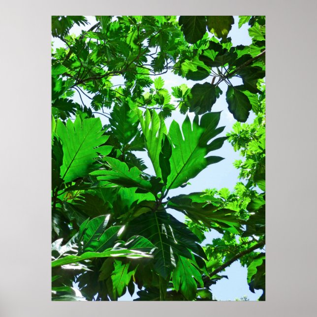 Póster Hojas de árbol de frutos de lectura (Frente)