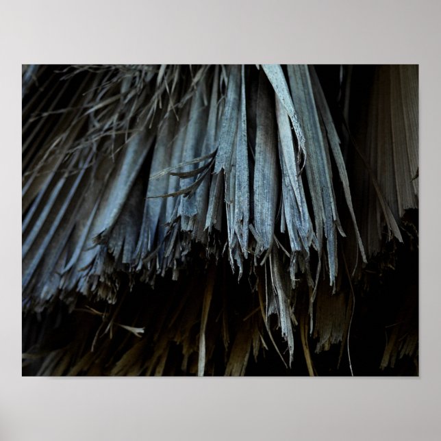 Póster Hojas de árbol de palmas (Frente)