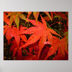 Póster Hojas de arce de Crimson - Personalizadas