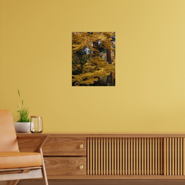Póster Hojas de Arce Japonés Amarillo Dorado Botánico (Salón 2)