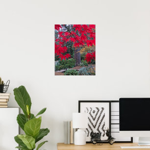 Póster Hojas de Arce Rojo en un Jardín Japonés